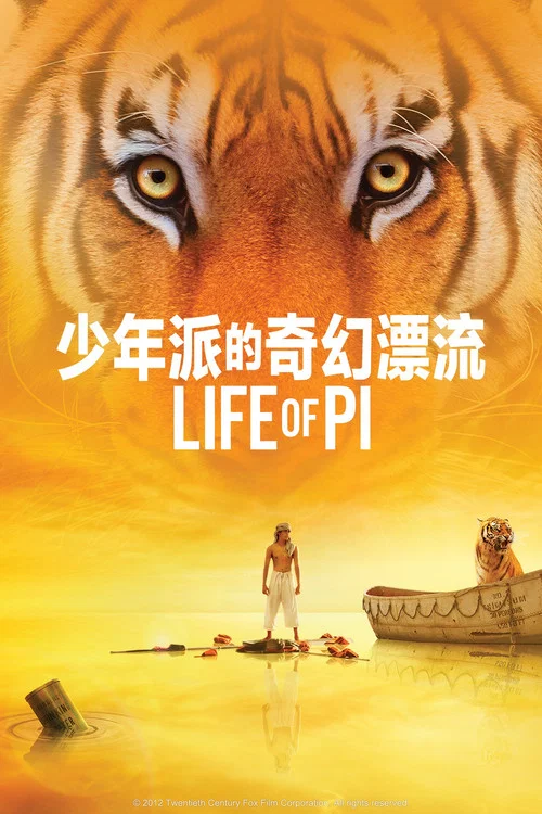 漂流少年(2012)海报