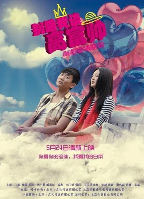 别跟我谈高富帅(2013)海报
