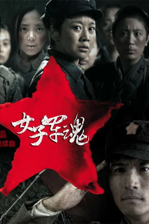 女子军魂(2012)海报