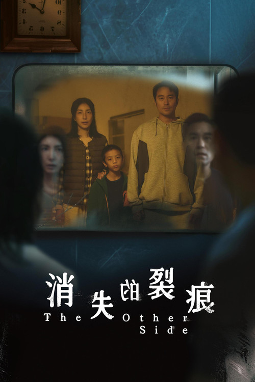 消失的裂痕(2026)海报
