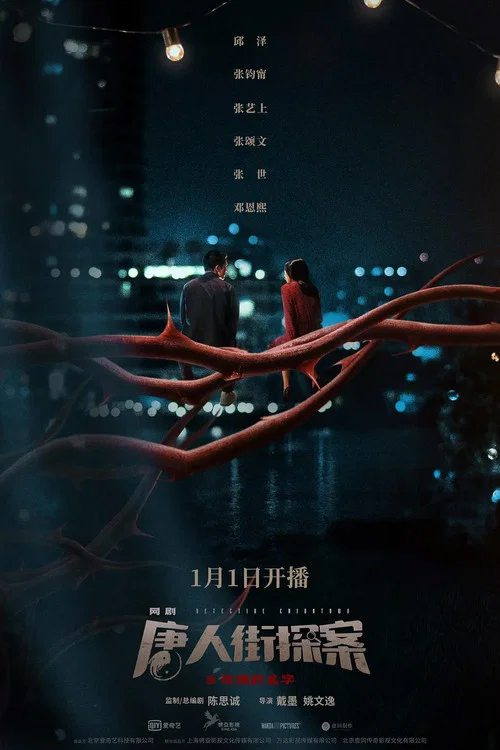 唐人街探案网剧剧照4