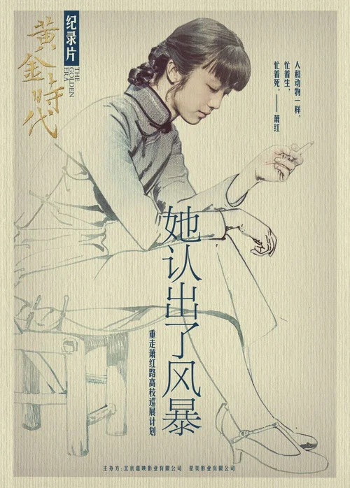 她认出了风暴:萧红和她的黄金时代(2014)海报