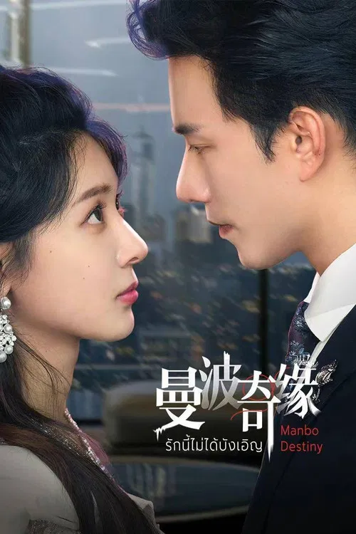 曼波奇缘(2025)海报