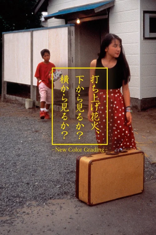 烟花1995(1993)海报