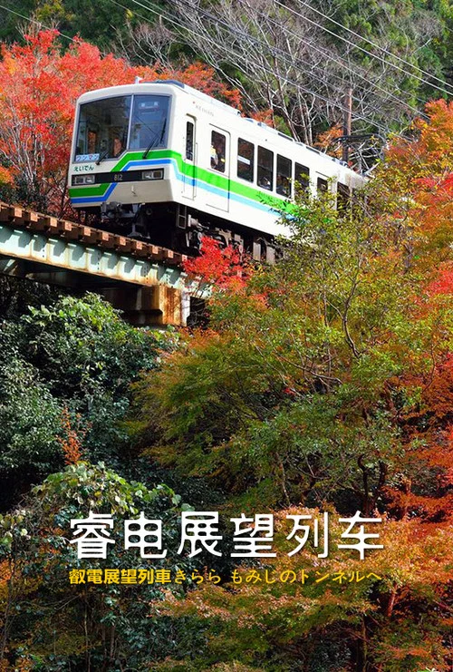 展望(2021)海报