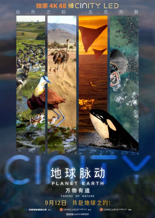 地球脉动 第三季剧照4
