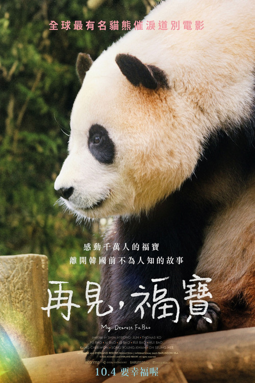 再见,福宝(2024)海报