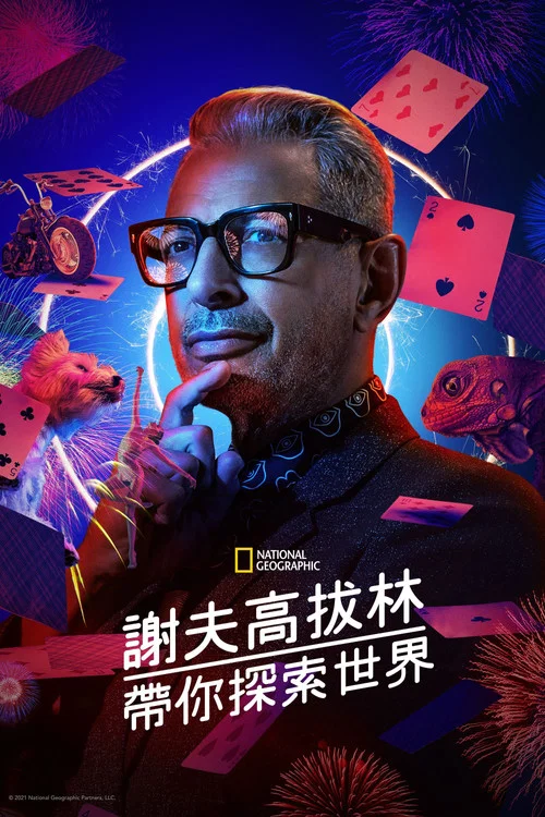 你眼中的世界(2019)海报