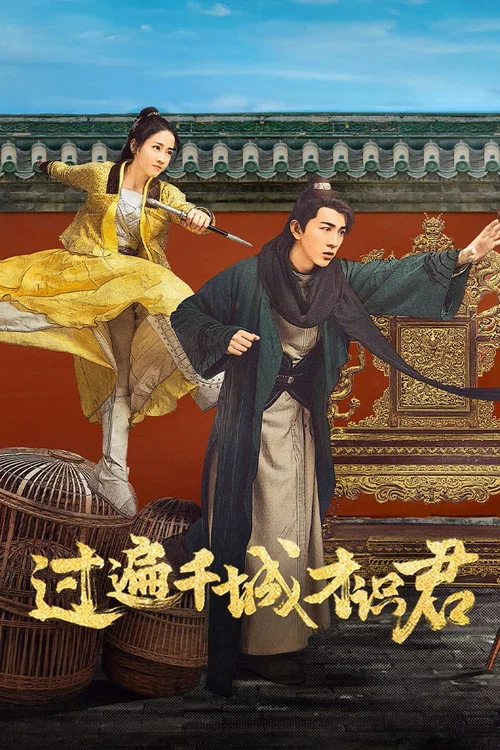过遍千城才识君(2026)海报