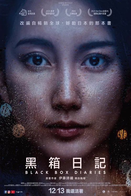 黑箱日记(2024)海报