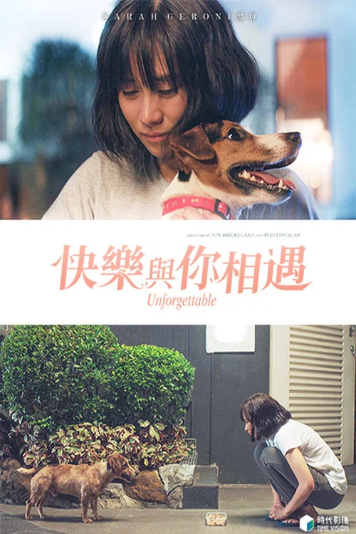 快乐与你相遇(2019)海报