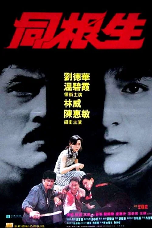 同根生(1989)海报
