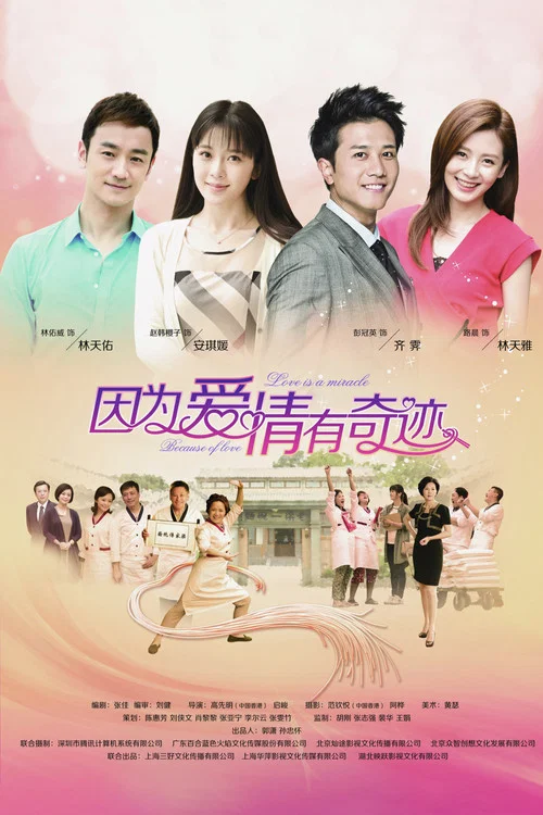 因为爱情(2014)海报