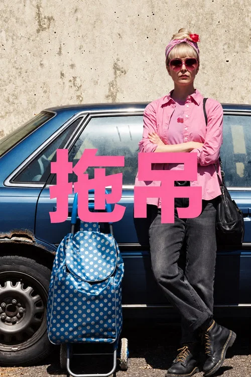 被拖走的车(2026)海报