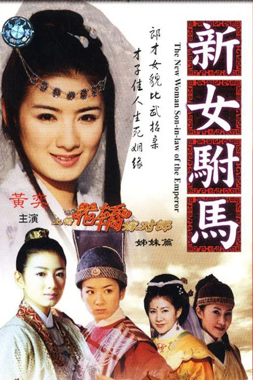 新女驸马(2003)海报