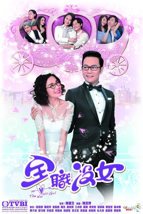 全职没女(2017)海报