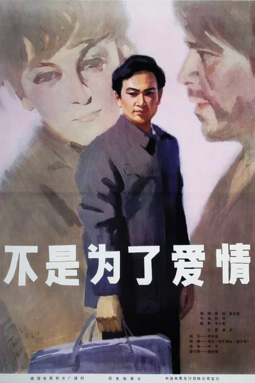 不是为了爱情(1980)海报