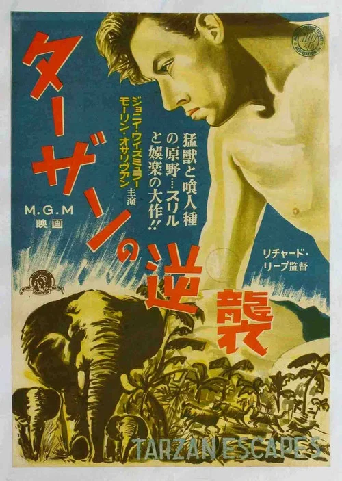 泰山逃亡(1936)海报