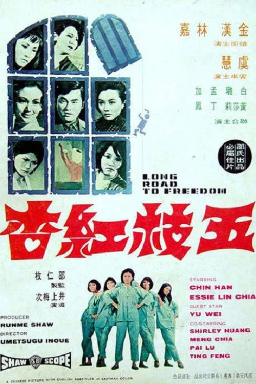 五枝红杏(1971)海报