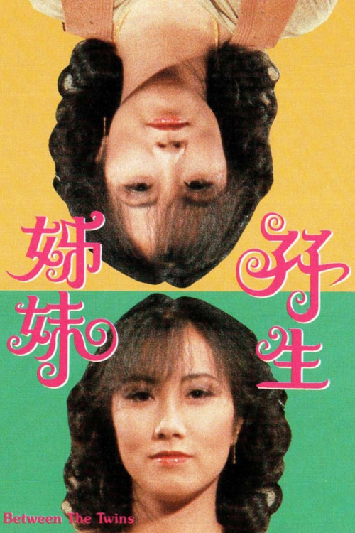 双生姊妹(1978)海报