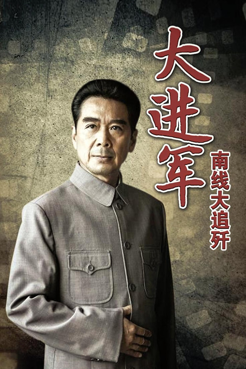 大进军——南线大追歼(1997)海报