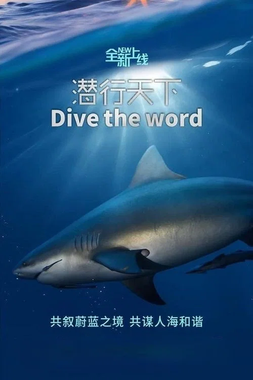 潜行天下(2020)海报