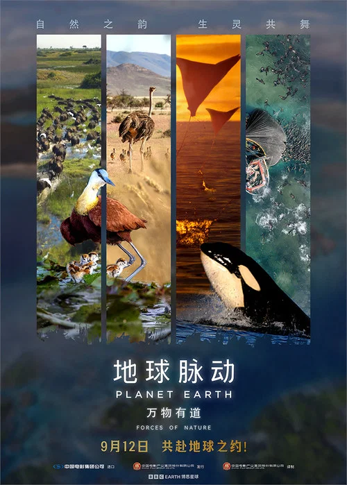 地球脉动 第三季剧照3