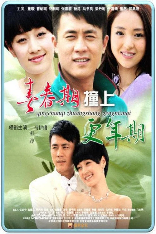 青春期撞上更年期2(2013)海报