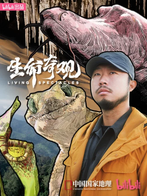 生命奇观剧照3