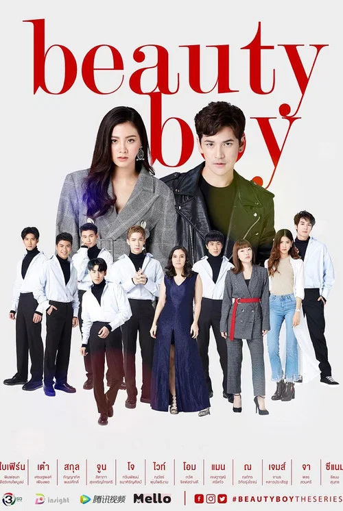美丽男孩(2018)海报