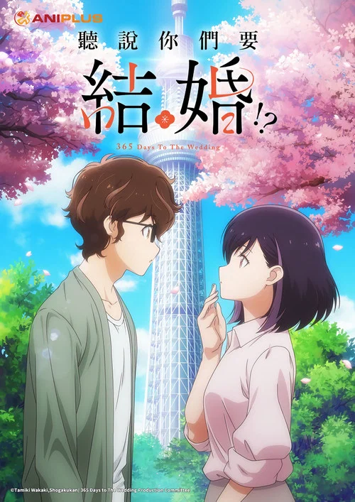 真的要结婚吗(2024)海报