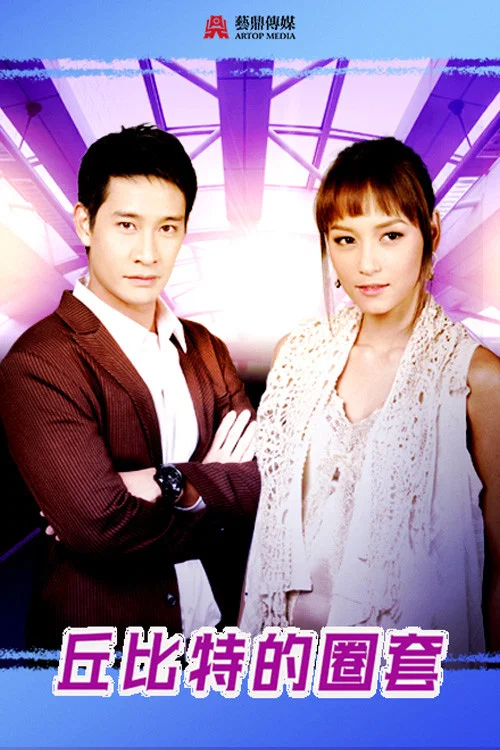 丘比特的圈套(2009)海报