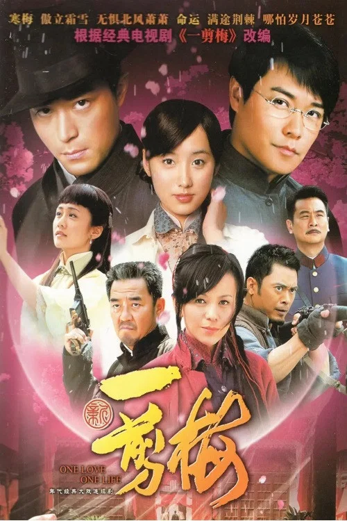新一剪梅(2010)海报