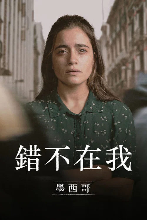 错不在我剧照2