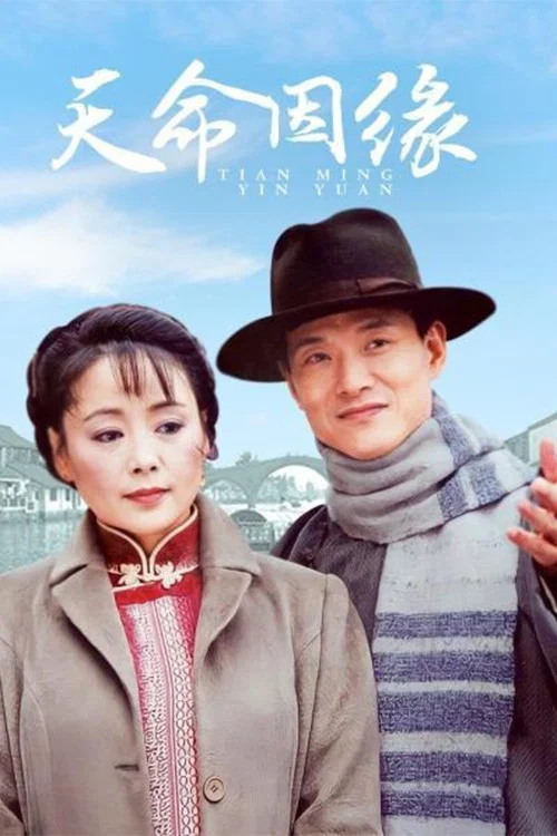 天命因缘(2003)海报