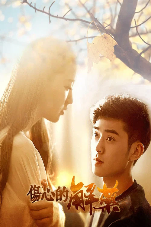 伤心的解药(2019)海报