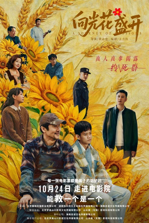 向光花盛开剧照3