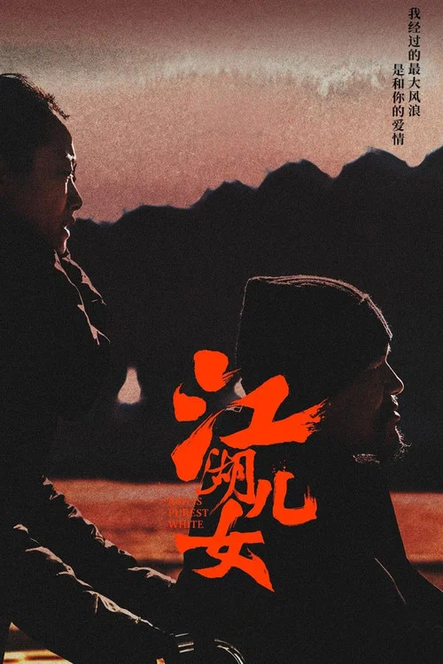 江湖儿女剧照4