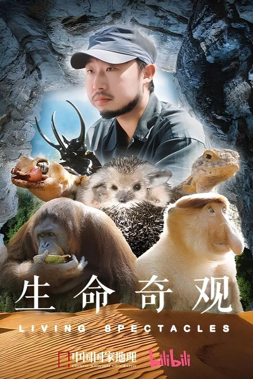 生命奇观(2024)海报
