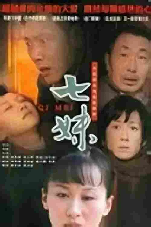 七妹(2010)海报
