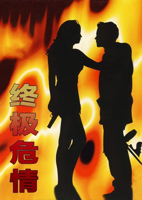 终极危情(1994)海报