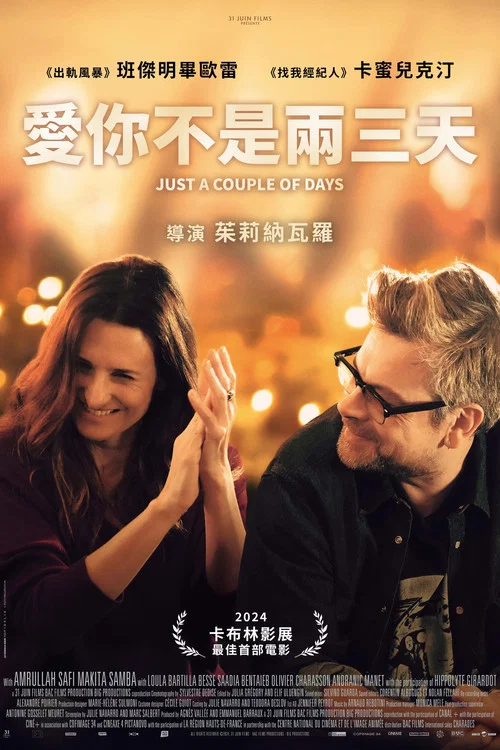 不是你不爱你(2024)海报