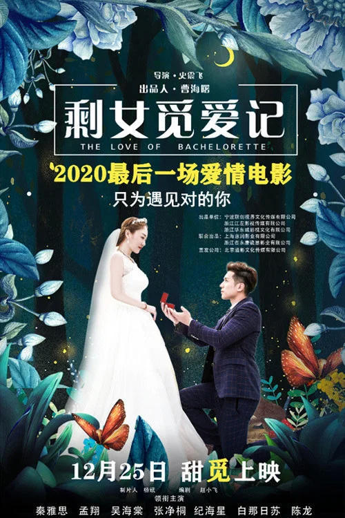 剩女觅爱记(2020)海报