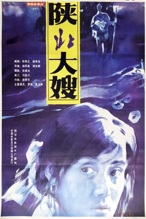 陕北大嫂(1993)海报