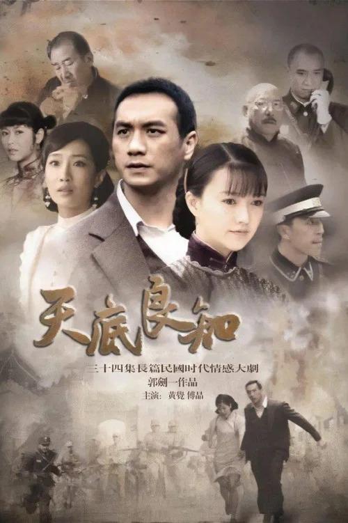 天底良知(2013)海报