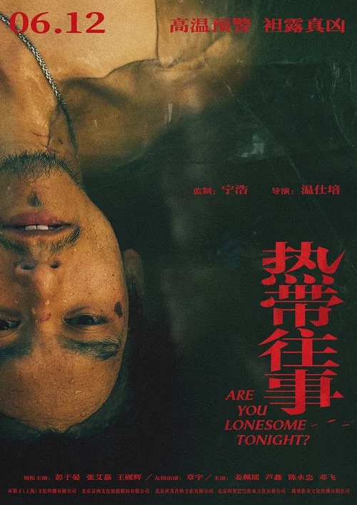 热带往事剧照2