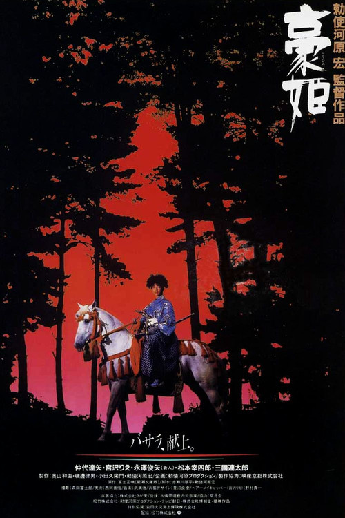 婆娑罗(1992)海报