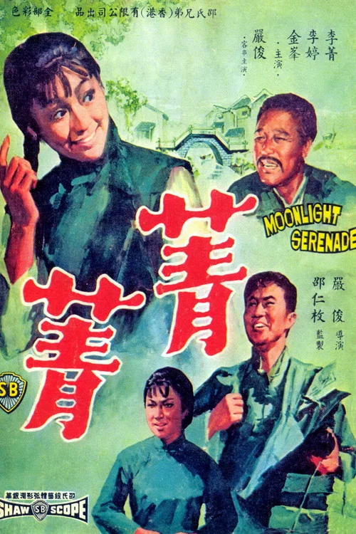 菁菁(1967)海报