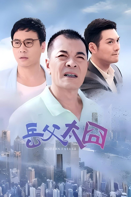 岳父太囧(2014)海报