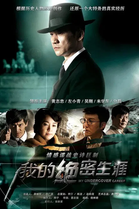 我的绝密生涯(2015)海报